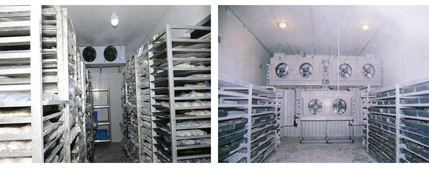 凍冷庫(kù)工程